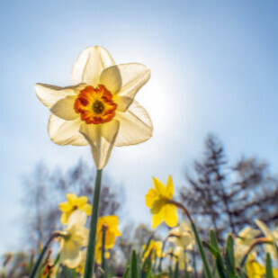 April 2019 - Neue Leseempfehlungen