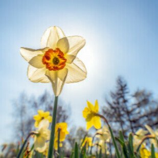 April 2019 - Neue Leseempfehlungen