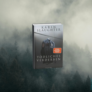 Karin Slaughter - Spannung aus North Falls