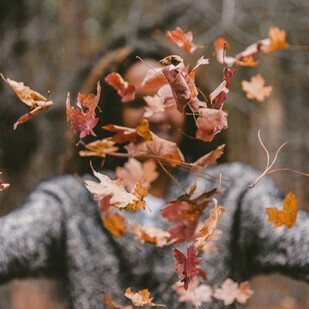 November 2021 - Neue B&uuml;cher im Herbst