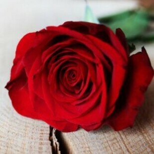 Valentinstag - Geschenke zum Valentinstag