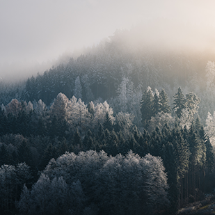 Farbe, W&auml;rme &amp; Zuversicht - B&uuml;cher gegen den Winterblues