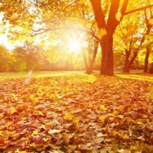 Der Herbst ist da! - Kreatives f&uuml;r den Herbst