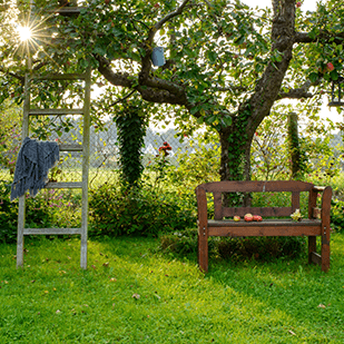 Endlich Fr&uuml;hling! - B&uuml;cher rund um Garten &amp; Pflanzen