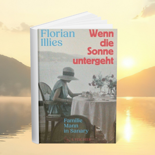 Der neue Roman von Florian Illies - Sonnenuntergang über Sanary im Sommer 1933