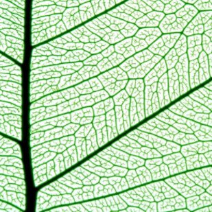 Mai 2022 - Popul&auml;re Naturwissenschaften