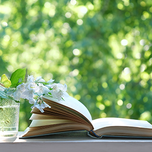 Aktuelle Belletristik-Highlights - Neue Romane, die Sie lesen sollten