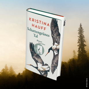 Kristina Hauffs  - Schwarzwald-Spannungsroman