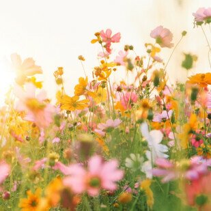 Juni 2021 - Natur, wir kommen!