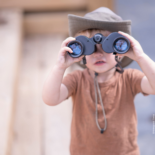 Genauer hinschauen - Verbl&uuml;ffend verschieden!