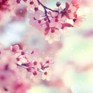 April 2019 - Neue eBooks