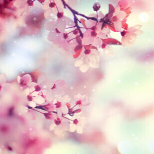 April 2019 - Neue eBooks