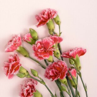B&uuml;cher, die Mamas gl&uuml;cklich machen - Herzensgeschenke zum Muttertag