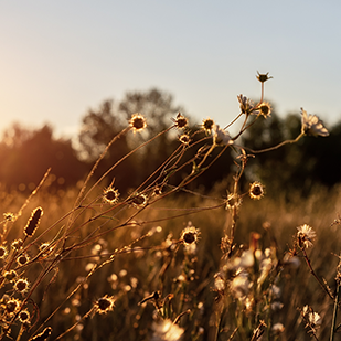 Frisch entdeckt! - Romane zum Eintauchen