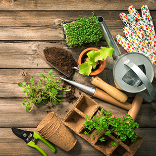 Jetzt wird&rsquo;s gr&uuml;n! - Buchtipps f&uuml;r Gartenfreunde