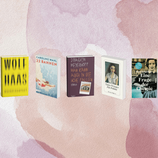 Diese B&uuml;cher haben alle begeistert - Unsere Halbjahresbestseller 2025