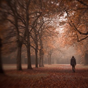 September 2021 - Neue Krimis und Thriller im Herbst