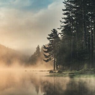 September 2019 - Neue fesselnde Krimis und Thriller