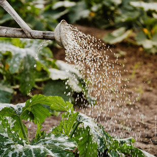 Inspiration f&uuml;r  gr&uuml;ne Oasen - Garten