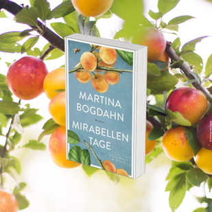 Endlich zur&uuml;ck mit einem neuen Roman - Martina Bogdahn