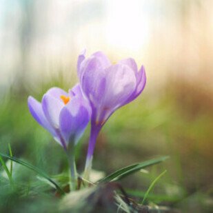 M&auml;rz 2019 - Fr&uuml;hlingsanfang