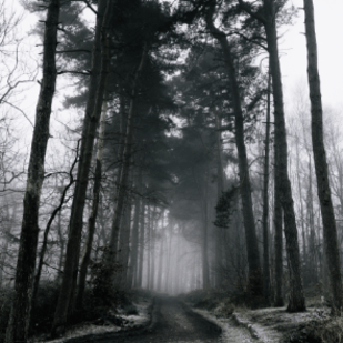Januar 2019 - Krimi- &amp; Thriller-Empfehlungen