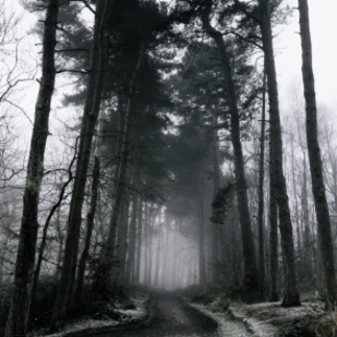 Januar 2019 - Krimi- &amp; Thriller-Empfehlungen