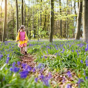 April 2020 - Abenteuer im Wald
